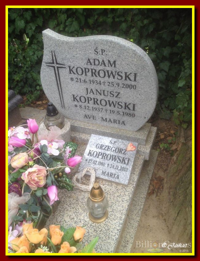 Koprowski A.J.G.